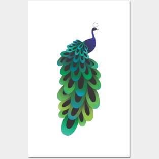 Peacock Posters and Art